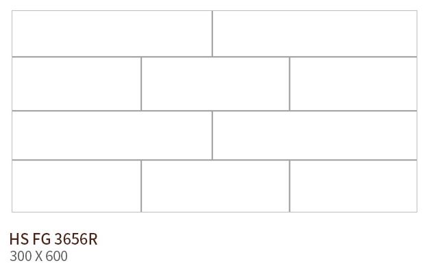 HS FG 3656R ǥ̹