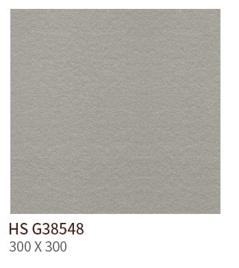 HS G 38548 ǥ̹