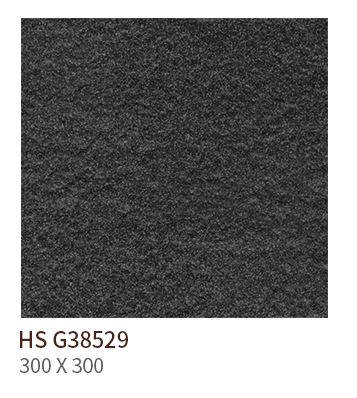 HS G 38529 ǥ̹