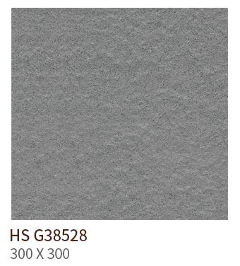 HS G 38528 ǥ̹