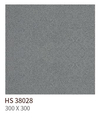 HS 38028 ǥ̹