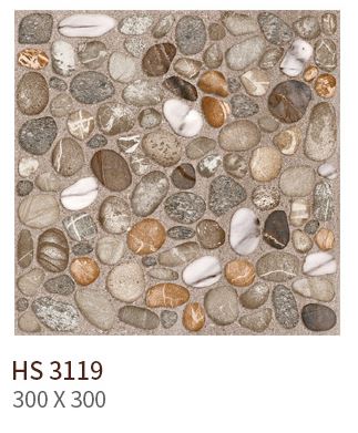 HS 3119 ǥ̹