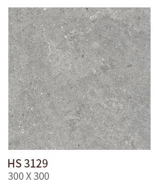 HS 3129 ǥ̹