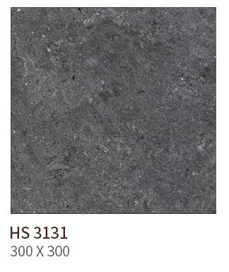 HS 3131 ǥ̹