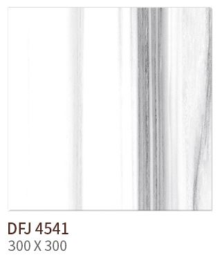 HS DFJ 4541 ǥ̹