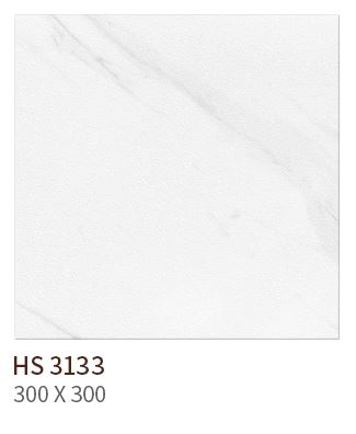 HS 3133 ǥ̹
