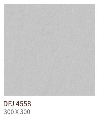 HS DFJ 4558 ǥ̹