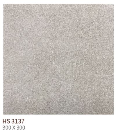 HS 3137 ǥ̹