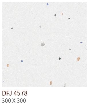 HS DFJ 4578 ǥ̹