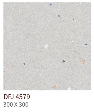 HS DFJ 4579 ǥ̹