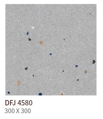 HS DFJ 4580 ǥ̹