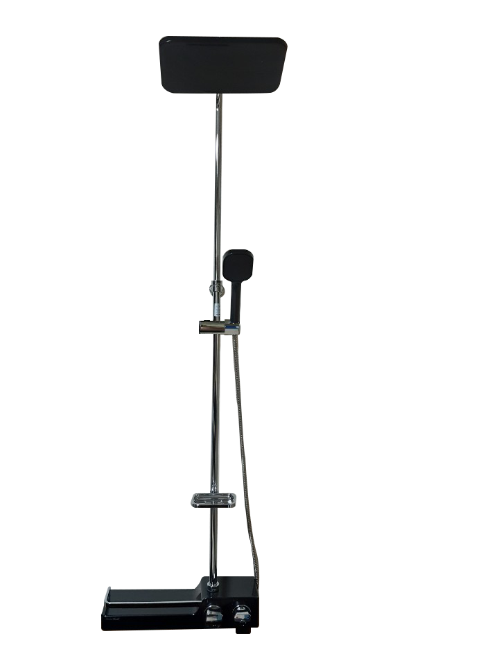 BW WT-3000 B ǥ̹