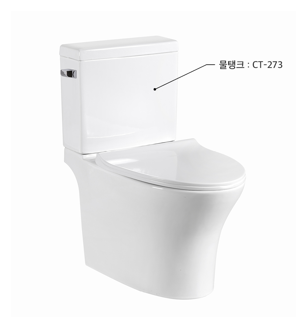 BT CC-273 ǽġ ǥ̹