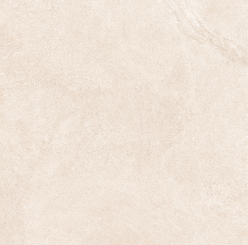 SG 66372 ǥ̹