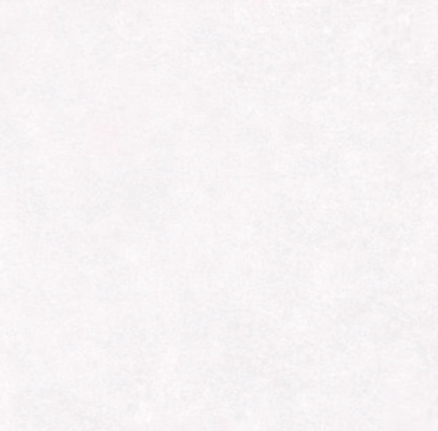 VG HOLY WHITE ǥ̹