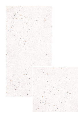 VG STAR WHITE ǥ̹