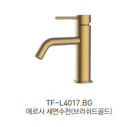 TF-L4017.BG Ȧ 귯 ǥ̹