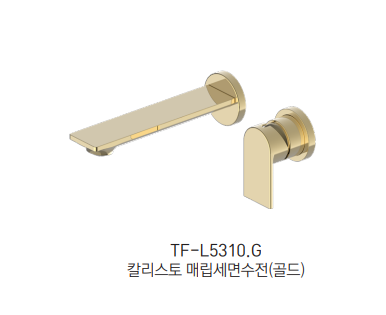 TF-L5310.G Ÿ  ǥ̹