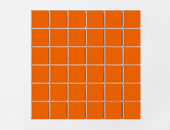 SI 481D ORANGE-G ǥ̹