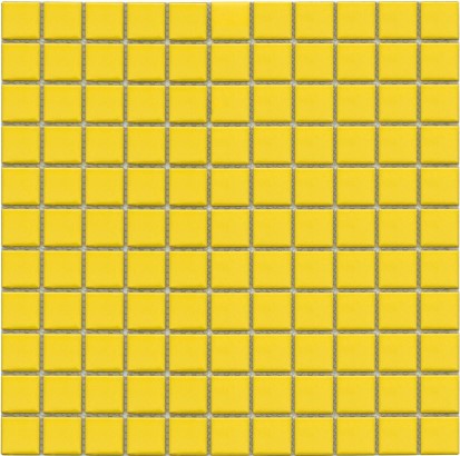 G25-YELLOW-M ǥ̹
