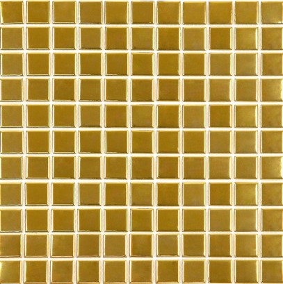 G25-GOLD () ǥ̹