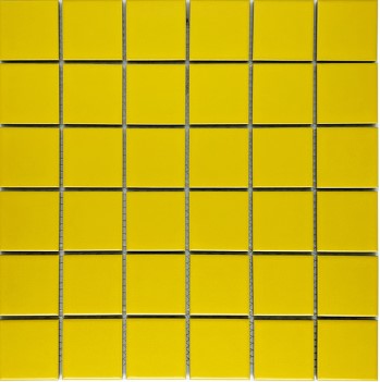 G48-YELLOW-M ǥ̹