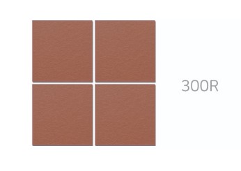 RY ׶Ÿ ٴ 300 : 300R ǥ̹