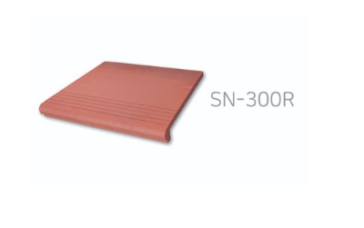RY ܼ : SN-300R ǥ̹