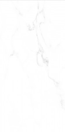 VCC CW-BG () ǥ̹
