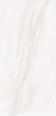 VCC 6D60699 () ǥ̹