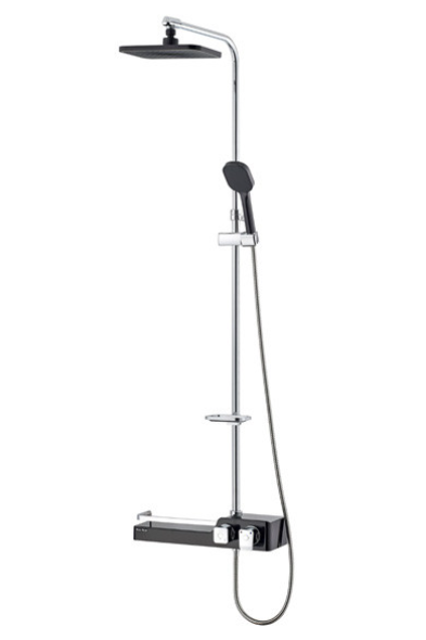 BW WT-3000 عٶ  ǥ̹