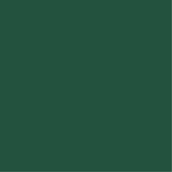 REP-54 ǥ̹